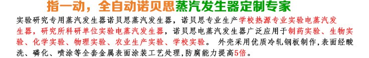 50-75kg/h實驗研究小型蒸汽發(fā)生器簡介