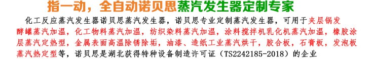 50-75kg/h化工反應(yīng)小型蒸汽發(fā)生器簡介