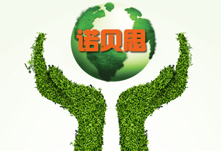 生物質蒸汽發(fā)生器