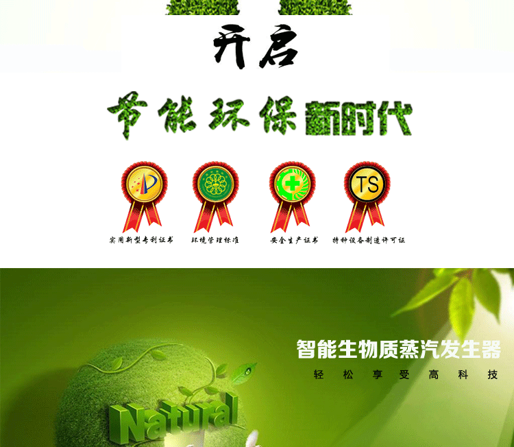 生物質蒸汽發(fā)生器