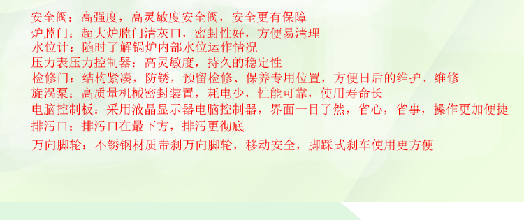 生物質蒸汽發(fā)生器