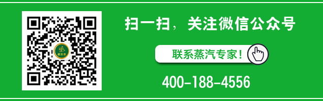 河南預(yù)制混凝土養(yǎng)護蒸汽發(fā)生器